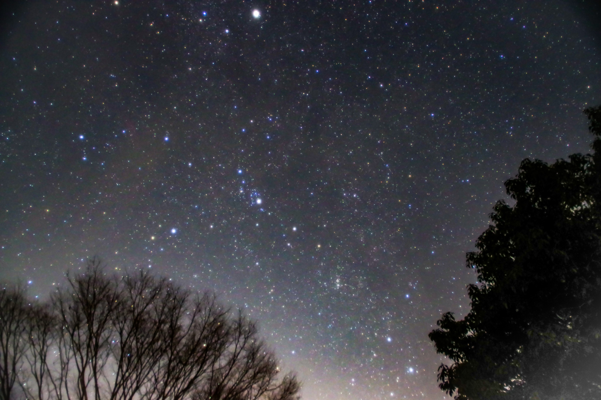 冬の星座には何があるの 代表的な星座を知って夜空を観察してみよう 最安値発掘隊コラム