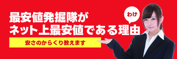 最安値発掘隊がネット上最安値の理由